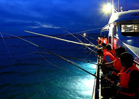Squid Fishing Tour At Night