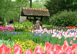Sai Gon - Da Lat - Sai Gon 3 Days 3 Nights (Evening Departure)