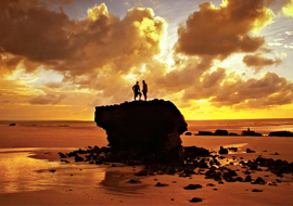 Mui Ne Beach 2 Days 2 Nights (Night Departure)
