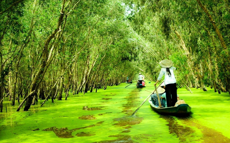 Mekong Delta 3 Days - Tra Su Cajuput Forest